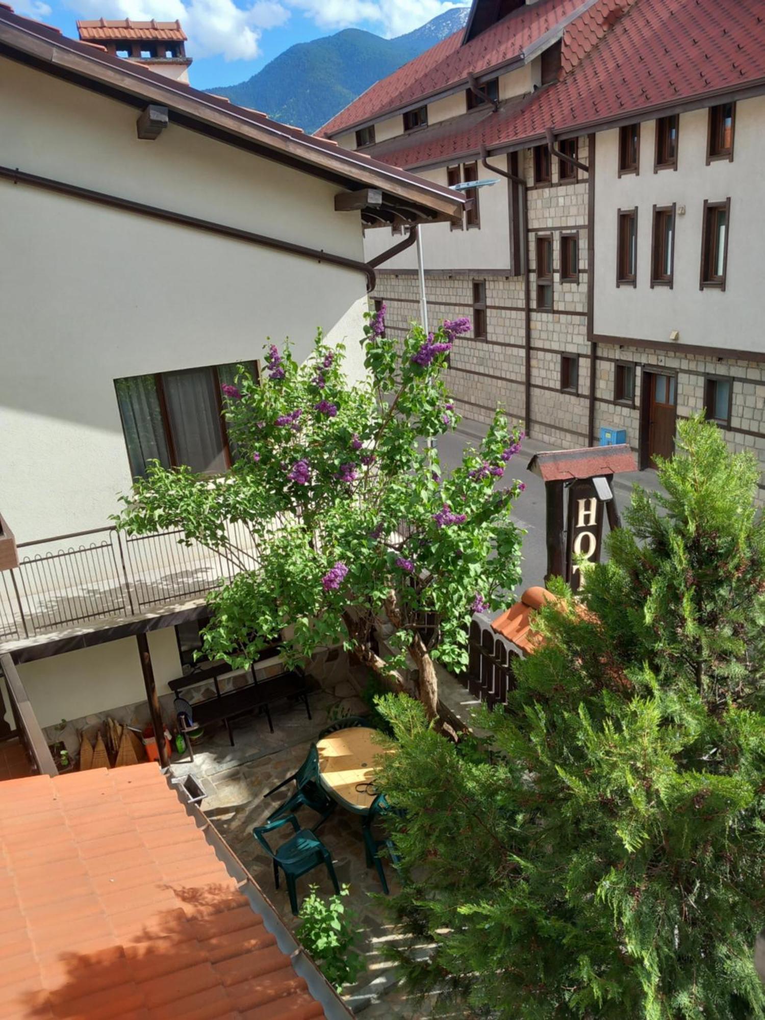 Guest House Skabrin บันสโก ภายนอก รูปภาพ